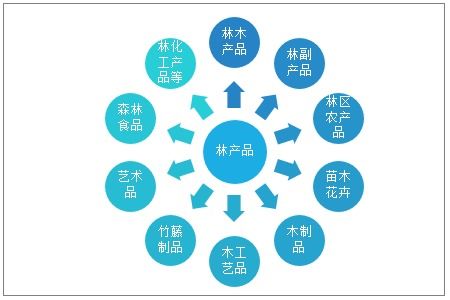 2021-2027年中國林產(chǎn)品行業(yè)市場研究分析及投資戰(zhàn)略規(guī)劃報(bào)告