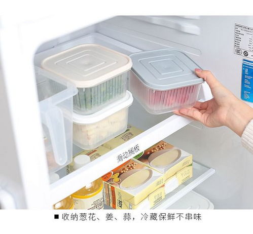 創(chuàng)意廚房好物 點亮烹飪樂趣，提升家居幸福感